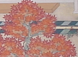 親鸞聖人御絵伝