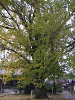 ��������G�`06